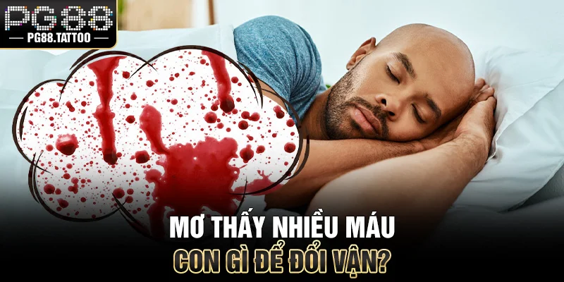 Mơ thấy nhiều máu đánh con gì để đổi vận?