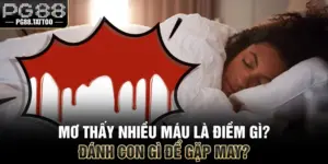 Mơ Thấy Nhiều Máu Là Điềm Gì? Đánh Con Gì Để Gặp May?