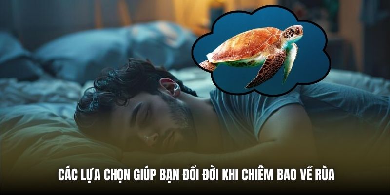 Nằm Mơ Thấy Rùa - Báo Hiệu Điều Gì Trong Tương Lai Gần? Các lựa chọn giúp bạn đổi đời khi chiêm bao về rùa