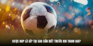 Cược HDP Là Gì? Tại Sao Cần Biết Trước Khi Tham Gia?