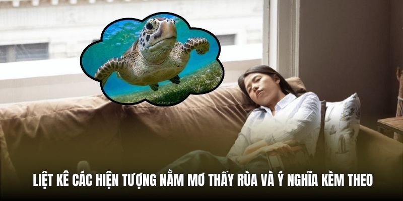 Nằm Mơ Thấy Rùa - Báo Hiệu Điều Gì Trong Tương Lai Gần? Liệt kê các hiện tượng nằm mơ thấy rùa và ý nghĩa kèm theo