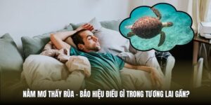 Nằm Mơ Thấy Rùa - Báo Hiệu Điều Gì Trong Tương Lai Gần?