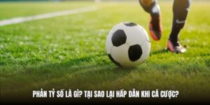 Phản Tỷ Số Là Gì? Tại Sao Lại Hấp Dẫn Khi Cá Cược?