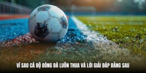 Vì Sao Cá Độ Bóng Đá Luôn Thua Và Lời Giải Đáp Đằng Sau